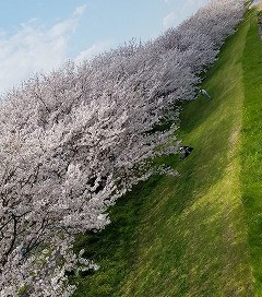20190402_122948